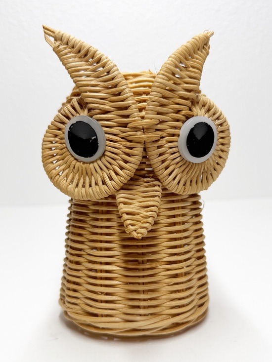 Other - Vintage Wicker Owl Bud Vase Basket